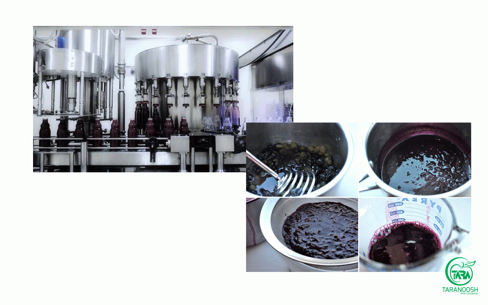 خط تولید کنسانتره انگور