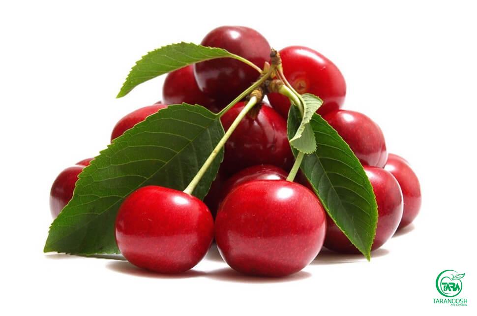پوره آلبالو