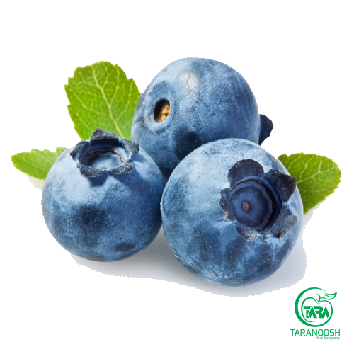 اسانس بلوبری