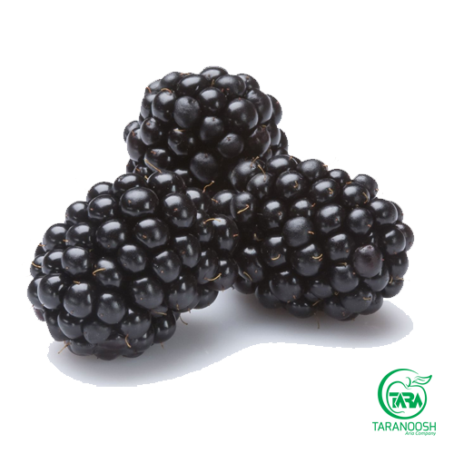 اسانس بلک بری