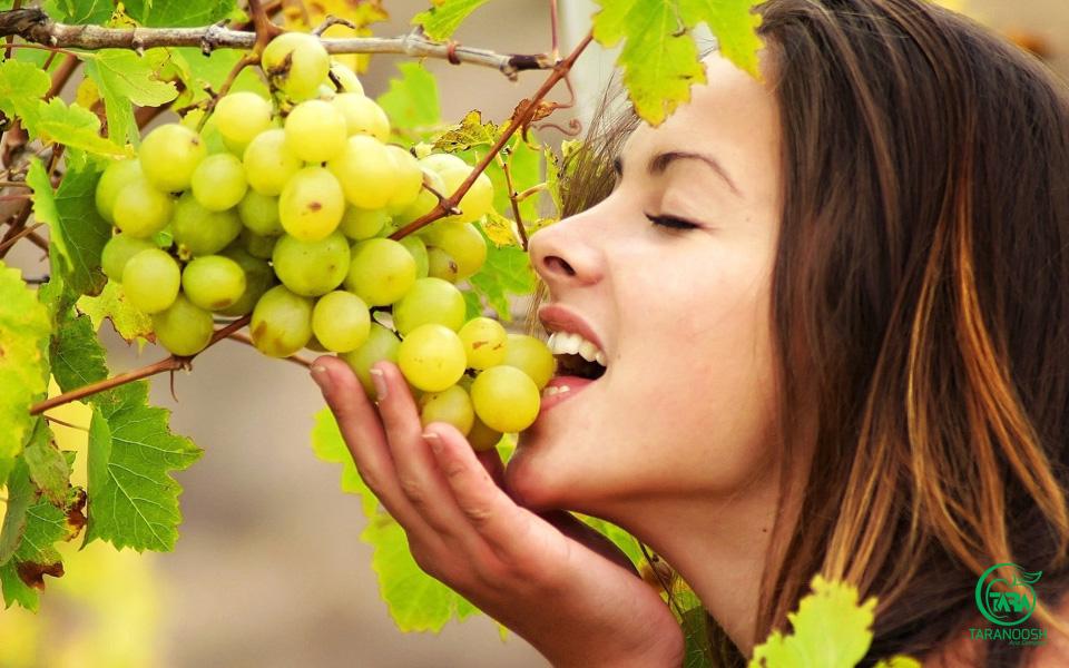 خواص انگور برای پوست