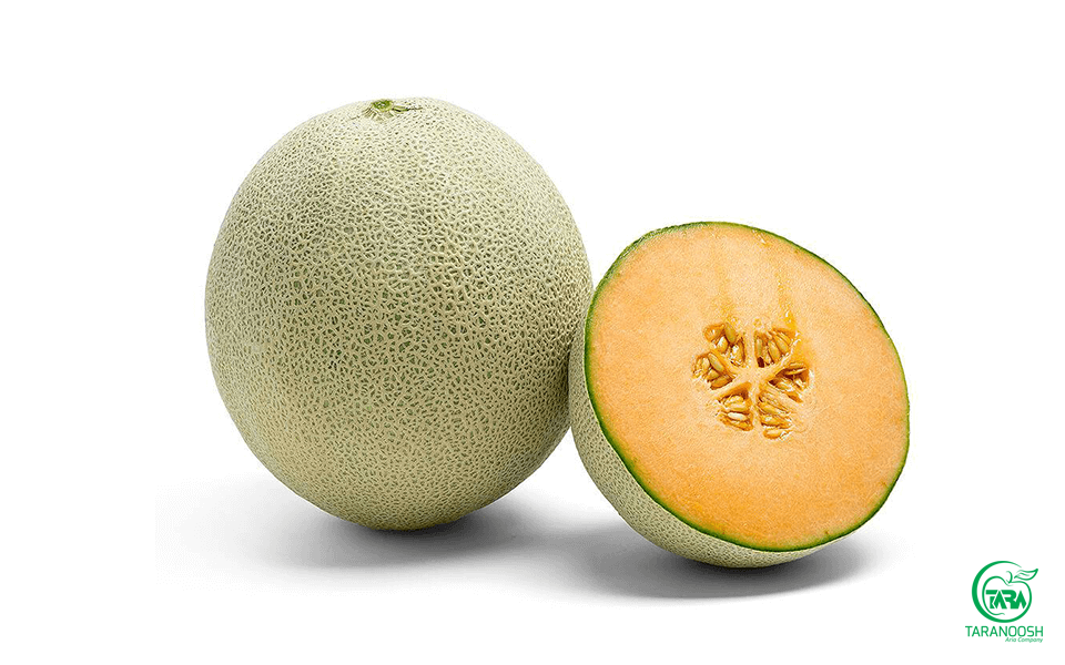 کنسانتره طالبی