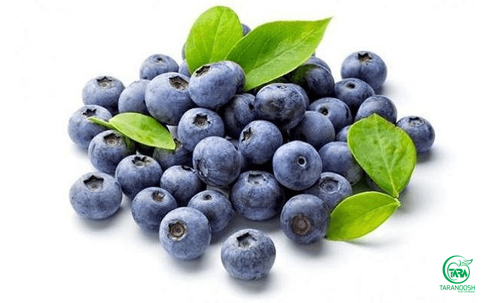 اسانس بلوبری